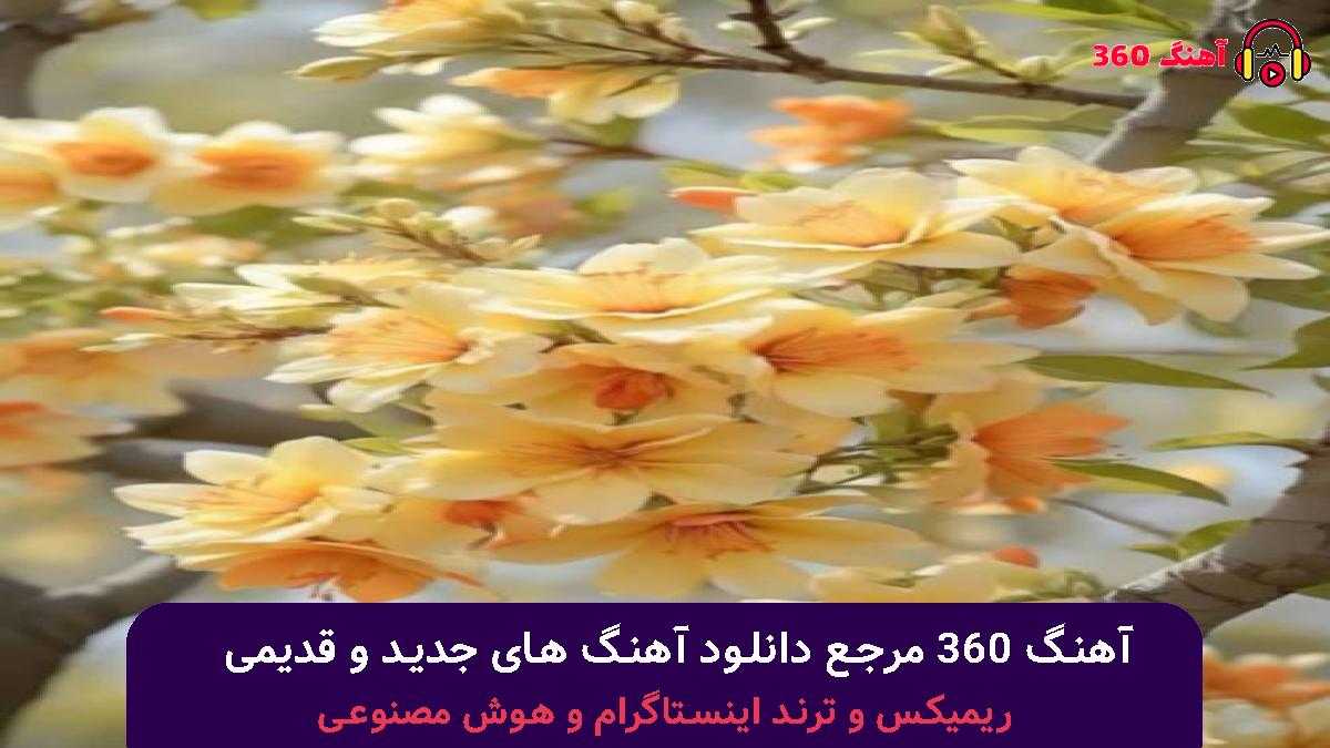 کاور آهنگ گل گل چادری دامن چین چین با صدای امیر گلستانی